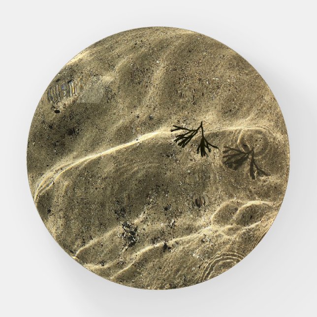 Under the Sea Paperweight (Front)