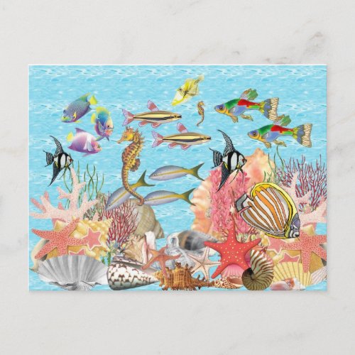 Under the sea postcard