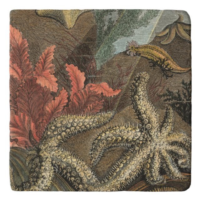 Under the Sea Trivet (Front)