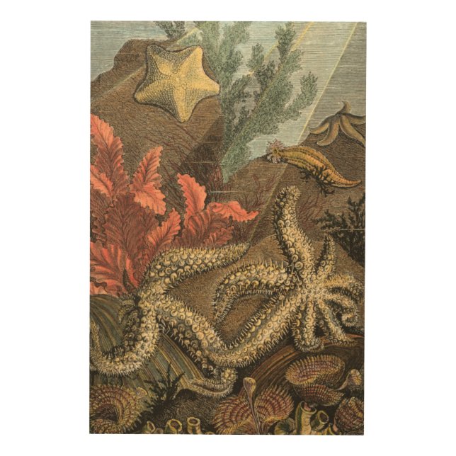 Under the Sea Wood Wall Art (Front)