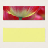 under the skirt of tulips (Front & Back)