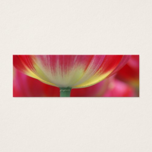 under the skirt of tulips business card templates