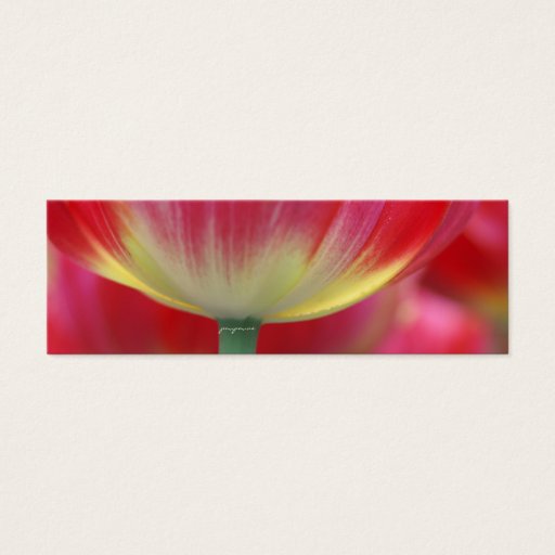 Customizable under the skirt of tulips business card templates