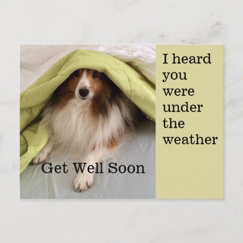 Under the Weather Holiday Postcard