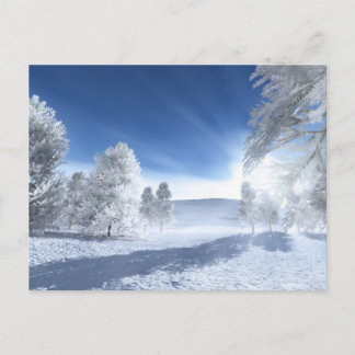 Under the Winter Sun Postcard