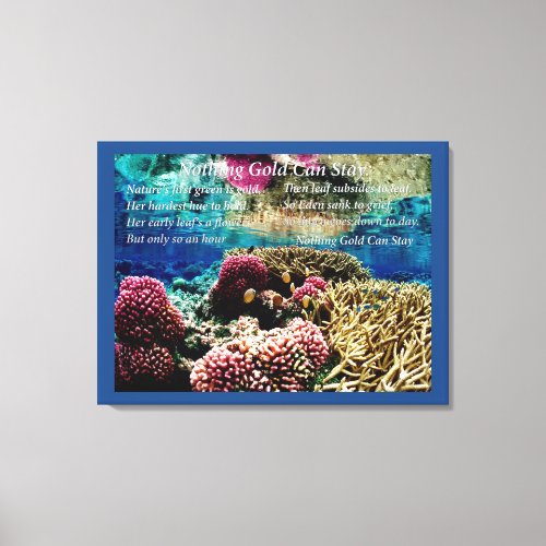 Under Water Canvas Print