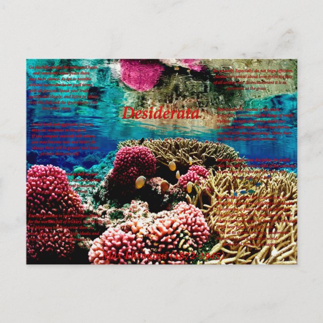 Under Water Postcard (Front)