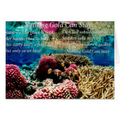 Under Water sea coral and two clown fish (Front Horizontal)