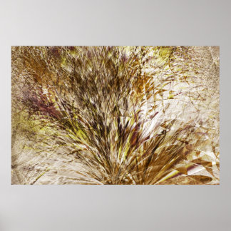 Underbrush Poster