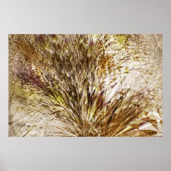 Underbrush Poster by creativ82 at Zazzle