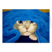 UnderCover Kitty Cat (Front Horizontal)