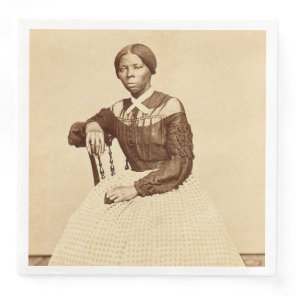 Underground Railroad Abolitionist Harriet Tubman  Paper Dinner Napkins