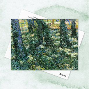 Undergrowth Trees Woods Vincent van Gogh Postcard