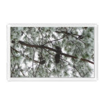 Underneath the Snow Covered Pine Tree Winter Photo Acrylic Tray