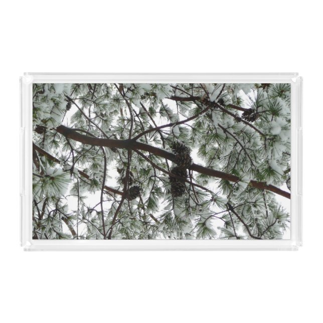 Underneath the Snow Covered Pine Tree Winter Photo Acrylic Tray (Front)