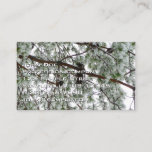 Underneath the Snow Covered Pine Tree Winter Photo Business Card