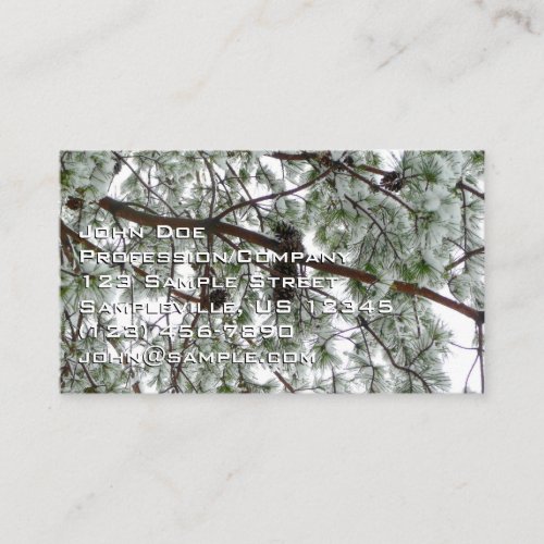 Underneath the Snow Covered Pine Tree Winter Photo Business Card