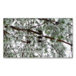 Underneath the Snow Covered Pine Tree Winter Photo Business Card Magnet