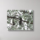 Underneath the Snow Covered Pine Tree Winter Photo Canvas Print