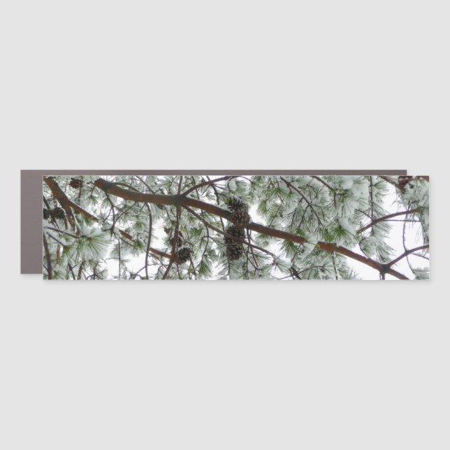 Underneath the Snow Covered Pine Tree Winter Photo Car Magnet (Front)