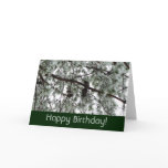 Underneath the Snow Covered Pine Tree Winter Photo Card