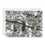 Underneath the Snow Covered Pine Tree Winter Photo Card