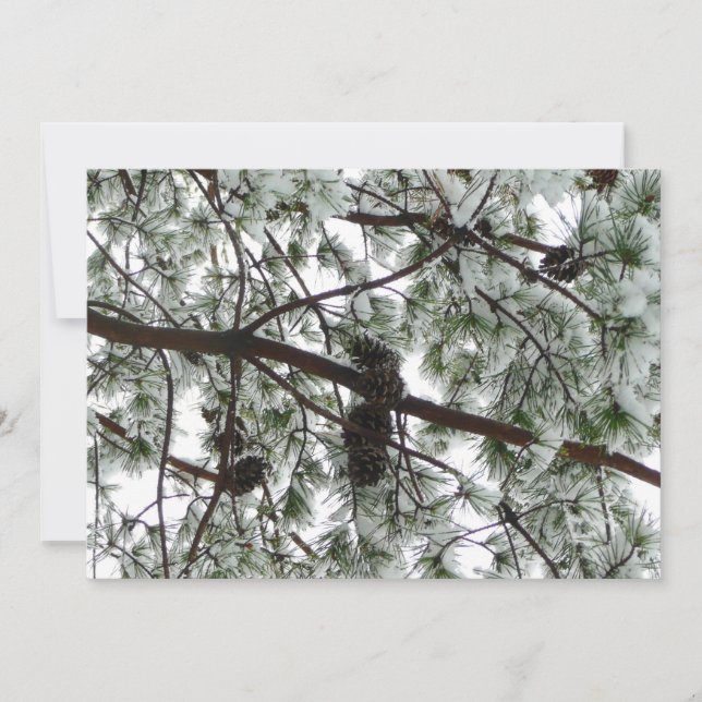 Underneath the Snow Covered Pine Tree Winter Photo Card (Front)