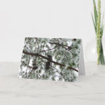 Underneath the Snow Covered Pine Tree Winter Photo Card