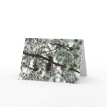 Underneath the Snow Covered Pine Tree Winter Photo Card