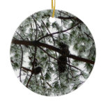 Underneath the Snow Covered Pine Tree Winter Photo Ceramic Ornament
