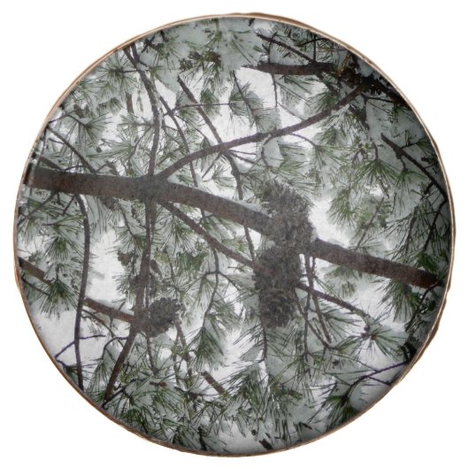 Underneath the Snow Covered Pine Tree Winter Photo Chocolate Covered Oreo (Front)