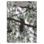 Underneath the Snow Covered Pine Tree Winter Photo Clipboard