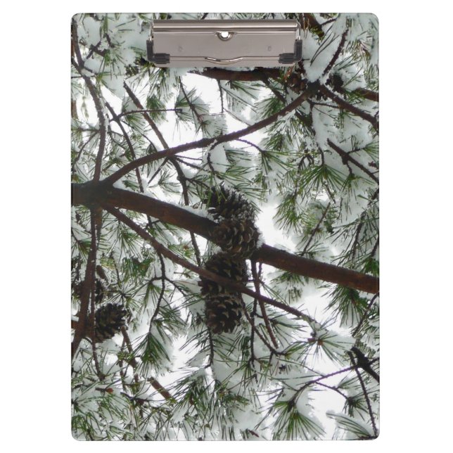 Underneath the Snow Covered Pine Tree Winter Photo Clipboard (Front)