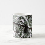 Underneath the Snow Covered Pine Tree Winter Photo Coffee Mug