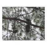 Underneath the Snow Covered Pine Tree Winter Photo Faux Canvas Print