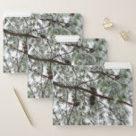 Underneath the Snow Covered Pine Tree Winter Photo File Folder
