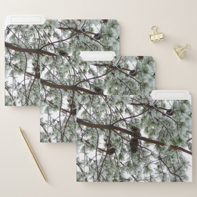 Underneath the Snow Covered Pine Tree Winter Photo File Folder (Set)