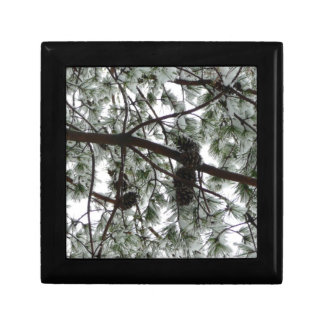 Underneath the Snow Covered Pine Tree Winter Photo Gift Box