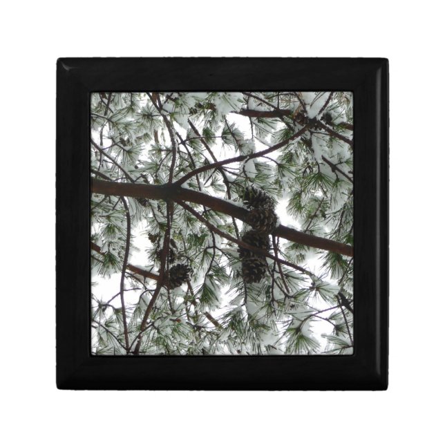 Underneath the Snow Covered Pine Tree Winter Photo Gift Box (Front)