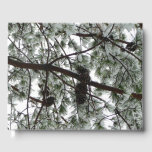 Underneath the Snow Covered Pine Tree Winter Photo Guest Book