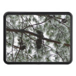 Underneath the Snow Covered Pine Tree Winter Photo Hitch Cover