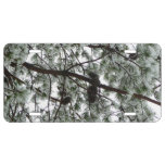 Underneath the Snow Covered Pine Tree Winter Photo License Plate