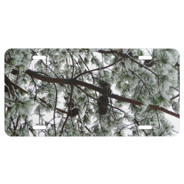 Underneath the Snow Covered Pine Tree Winter Photo License Plate (Front)