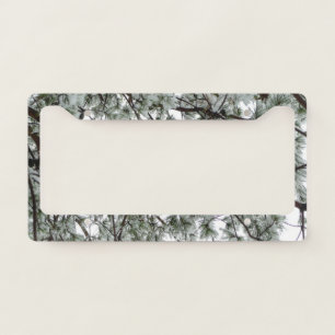 Underneath the Snow Covered Pine Tree Winter Photo License Plate Frame