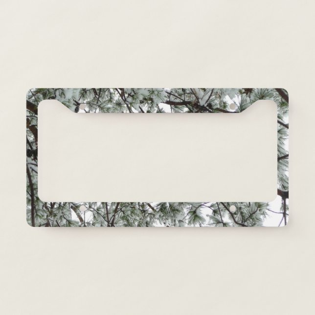 Underneath the Snow Covered Pine Tree Winter Photo License Plate Frame (Front)