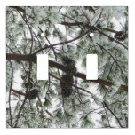 Underneath the Snow Covered Pine Tree Winter Photo Light Switch Cover