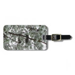 Underneath the Snow Covered Pine Tree Winter Photo Luggage Tag