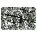 Underneath the Snow Covered Pine Tree Winter Photo Magnet