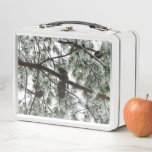 Underneath the Snow Covered Pine Tree Winter Photo Metal Lunch Box