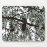 Underneath the Snow Covered Pine Tree Winter Photo Mouse Pad